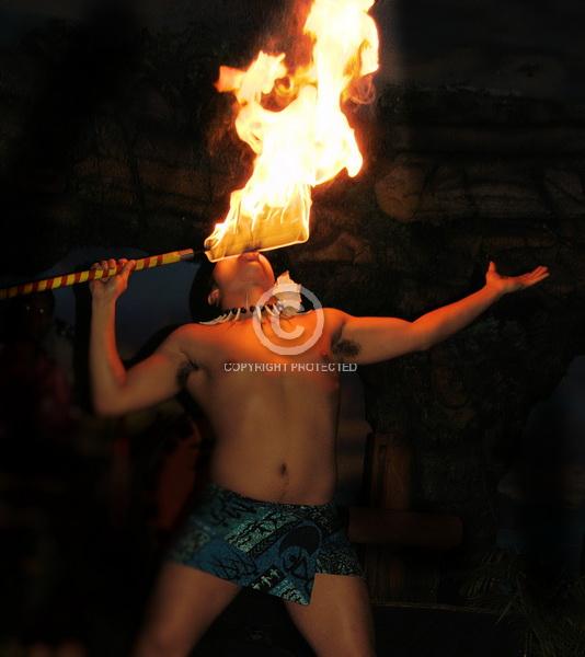 Contest = Bureau County Fair - Result = 2nd Place - Vacation